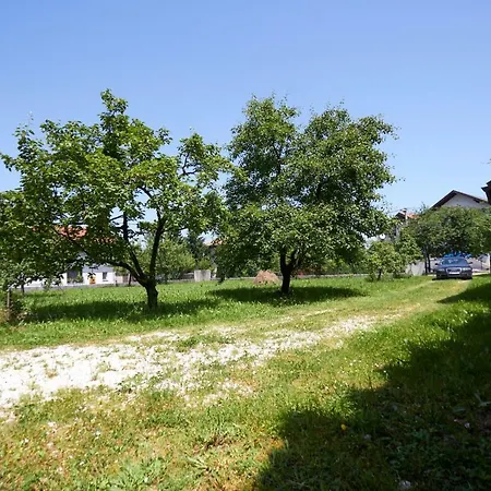Orchard Garden