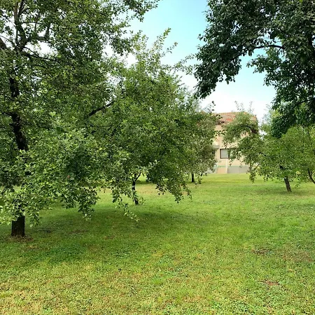 ヴィラ Orchard Garden *